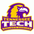 2006-Pres Tennessee Tech Golden Eagles Primary Logo Decals Stickers