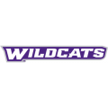 Abilene Christian Wildcats 2013-Pres Wordmark Logo Decals Stickers