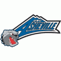 2004-Pres UNC Asheville Bulldogs Wordmark Logo Decals Stickers