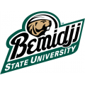 Bemidji State Beavers 2004-Pres Alternate Logo Iron-on Stickers (Heat Transfers)