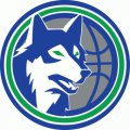 Minnesota Timberwolves Alternate Logo  Iron-on Stickers (Heat Transfers)