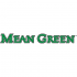 North Texas Mean Green 2005-Pres Wordmark Logo2 Decals Stickers