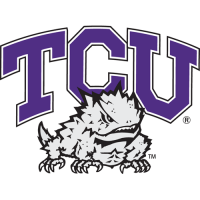 1995-Pres TCU Horned Frogs Primary Logo Iron-on Stickers (Heat Transfers)