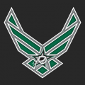 Airforce Dallas Stars logo