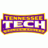 2006-Pres Tennessee Tech Golden Eagles Wordmark Logo Decals Stickers