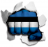 hulk ESTONIA Flag iron on transfer