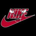 Chicago Bulls nike logo iron on sticker