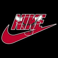 Chicago Bulls nike logo iron on sticker