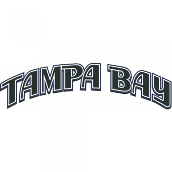 Tampa Bay Rays Script Logo  Iron-on Stickers (Heat Transfers) version 2