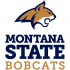 2013-Pres Montana State Bobcats Alternate Logo Decals Stickers