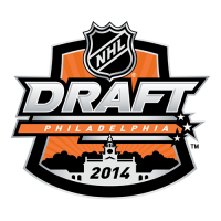 2013 14 NHL Draft Primary Logo Decals Stickers