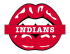 cleveland indians script logo iron on transfers