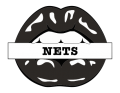 brooklyn nets script logo iron on transfers