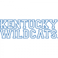 2005-Pres Kentucky Wildcats Wordmark Logo Decals Stickers 2