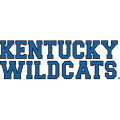 1989-2004 Kentucky Wildcats Wordmark Logo Decals Stickers