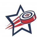 Winnipeg Jets Hockey Goal Star iron on transfer