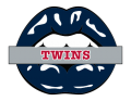 minnesota twins script logo iron on transfers