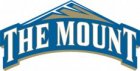 Mount St. Mary's Mountaineers