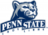 Penn State Nittany Lions 2001-2004 Alternate Logo Iron-on Stickers (Heat Transfers) 7