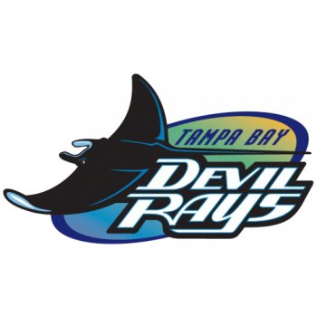 Tampa Bay Rays Primary Logo  Iron-on Stickers (Heat Transfers)