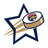 Florida Panthers Hockey Goal Star iron on transfer