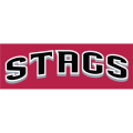 2002-Pres Fairfield Stags Wordmark Logo