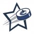 Vancouver Canucks Hockey Goal Star iron on transfer