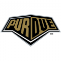 1996-Pres Purdue Boilermakers Wordmark Logo Iron-on Stickers (Heat Transfers)