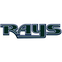 Tampa Bay Rays Script Logo  Iron-on Stickers (Heat Transfers) version 1