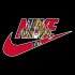 Florida Panthers nike logo decal sticker