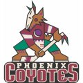 Phoenix Coyotes Primary Logo  Iron-on Stickers (Heat Transfers)