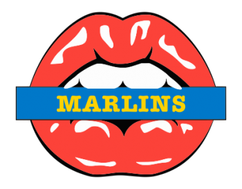 miami marlins script logo iron on transfers