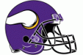 Minnesota Vikings 2013 - Pres DIY iron on stickers (heat transfer)