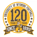 2013 Wyoming Cowboys Anniversary Logo Iron-on Stickers (Heat Transfers)