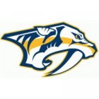 Nashville Predators Iron Ons