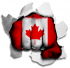 hulk CANADA Flag iron on transfer