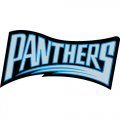 Carolina Panthers Script Logo  Iron-on Stickers (Heat Transfers)