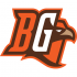 Bowling Green Falcons 2006-Pres Alternate Logo Iron-on Stickers (Heat Transfers)