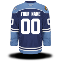 Florida Panthers Custom Letter and Number Kits for Third Jersey