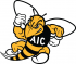 AIC Yellow Jackets 2009-Pres Secondary Logo Iron-on Stickers (Heat Transfers)