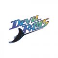 Tampa Bay Rays Script Logo  Iron-on Stickers (Heat Transfers)