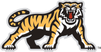 hamilton tiger-cats 2005-2009 secondary logo iron on transfers