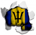 hulk BARBADOS Flag iron on transfer