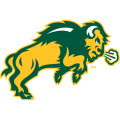 2012-Pres North Dakota State Bison Secondary Logo Decals Stickers