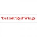 Detroit Red Wings Script Logo  Iron-on Stickers (Heat Transfers) version 1