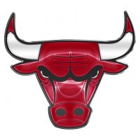 chicago bulls crystal logo iron on sticker