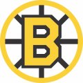 Boston Bruins Alternate Logo  Iron-on Stickers (Heat Transfers)