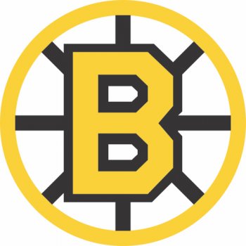 Boston Bruins Alternate Logo  Iron-on Stickers (Heat Transfers)