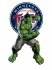 Minnesota Twins Hulk iron on transfers