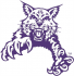 Abilene Christian Wildcats 1997-2012 Partial Logo Decals Stickers